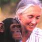 Jane Goodall