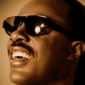 stevie wonder